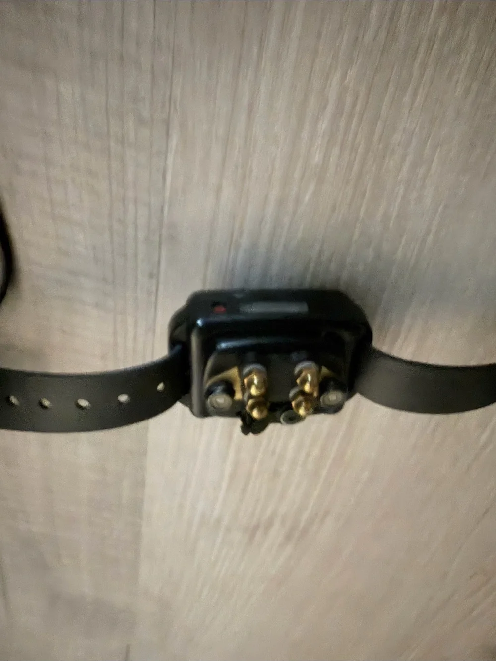 300 Series E Collar dog Receiver - Teal